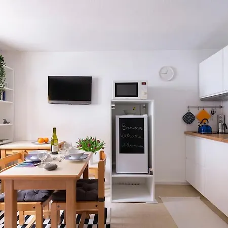 Anthoard 公寓 格勒诺布尔